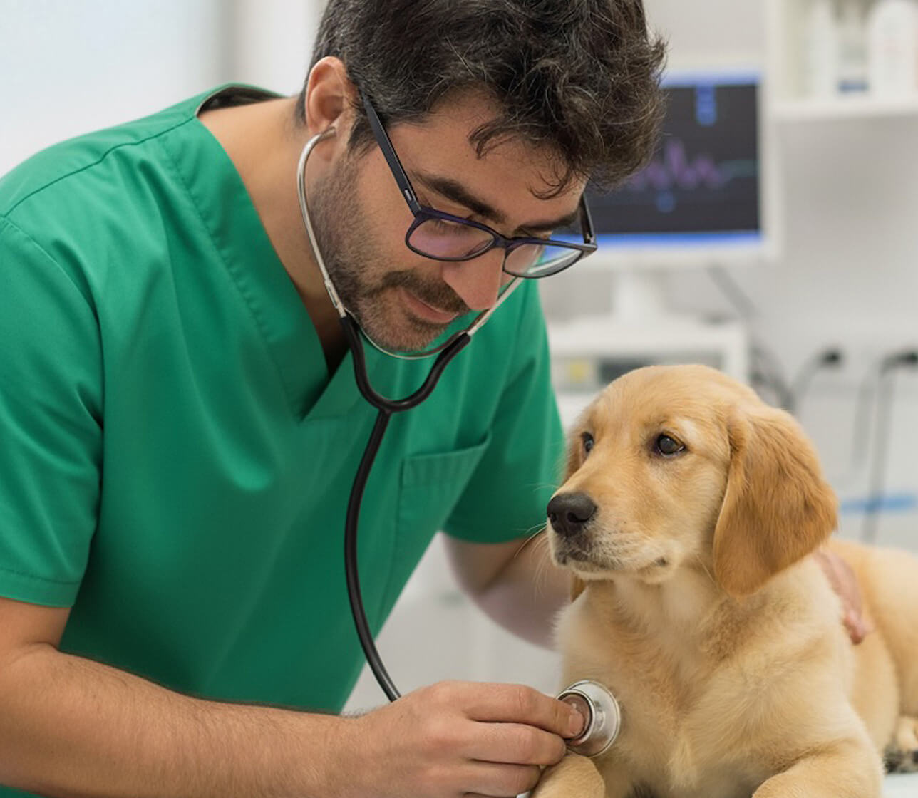 Mobiler Tierarzt Mainz